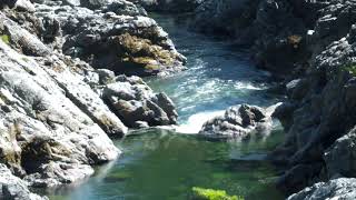 Smith River 2020