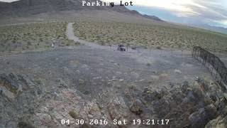 Devils Hole Pupfish