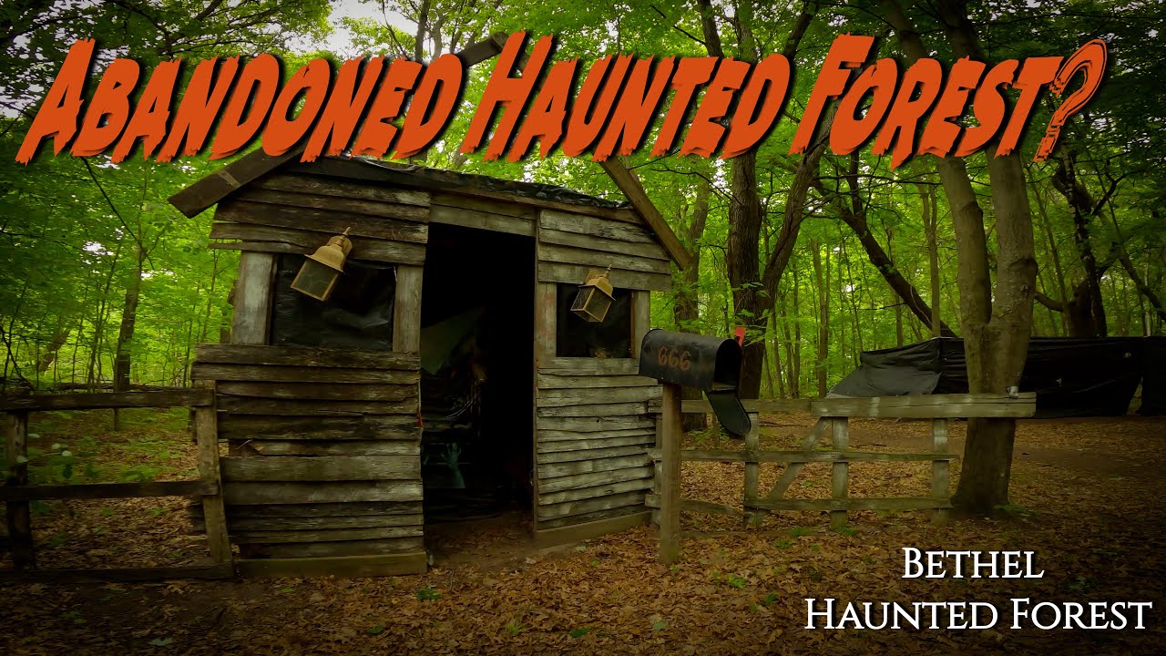 Bethel Haunted Forest Singletrack! || Bethel, MN