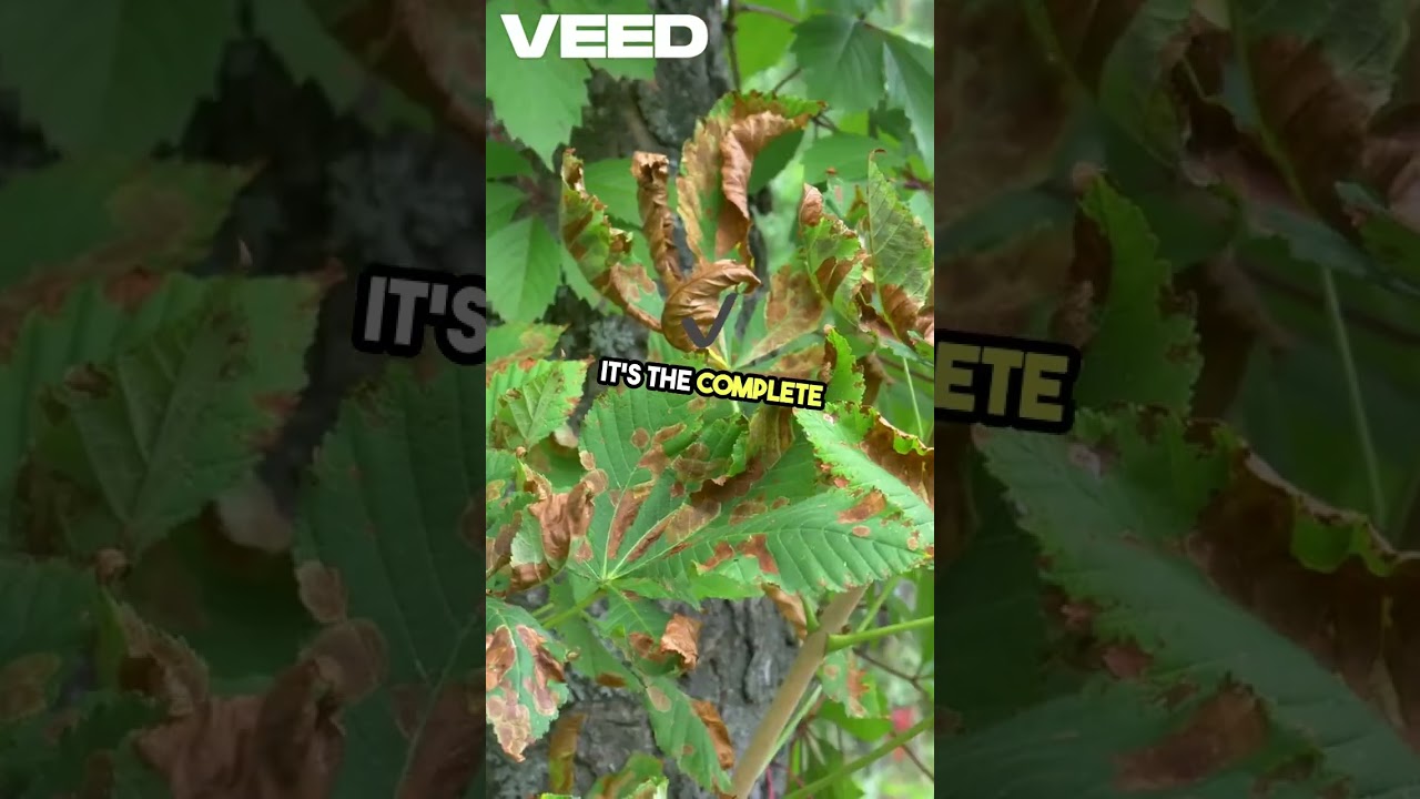 Microscopic Mischief-Meet the Virus Squad! 