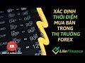 Tuuyệt chiêu Ichimoku và BolingerBand là đủ lắm rồi