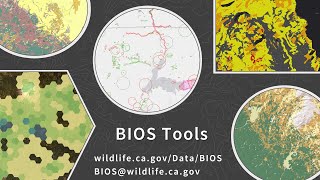 BIOS 6 Tools