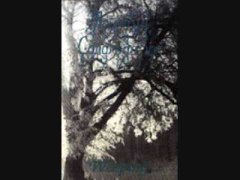 Mournful Congregation — MOURNFUL CONGREGATION - Suffer The Storms