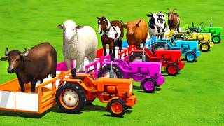 LOAD SHEEPS, COWS, HORSES, GOATS, BUFFALO &amp; TRANSPORT WITH TRACTORS - FS25