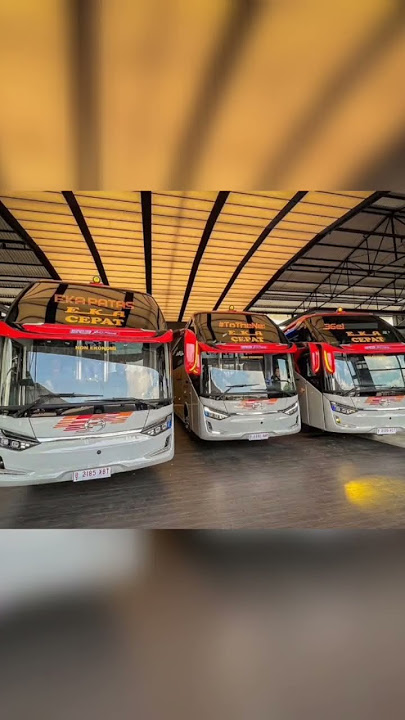 Rilis 3 Bus Baru Mewah | PO. Eka Mira 👍🇮🇩