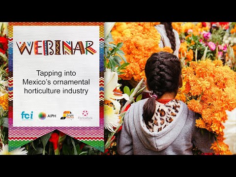 Tapping into Mexico’s ornamental horticulture industry