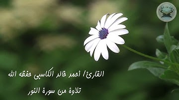 تلاوة رائعة  ما تيسر من سورة النور .. القارئ / أحمد خالد الكاسبي حفظه الله