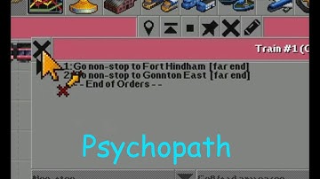 Types of OpenTTD players