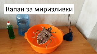 Капан За Миризливки