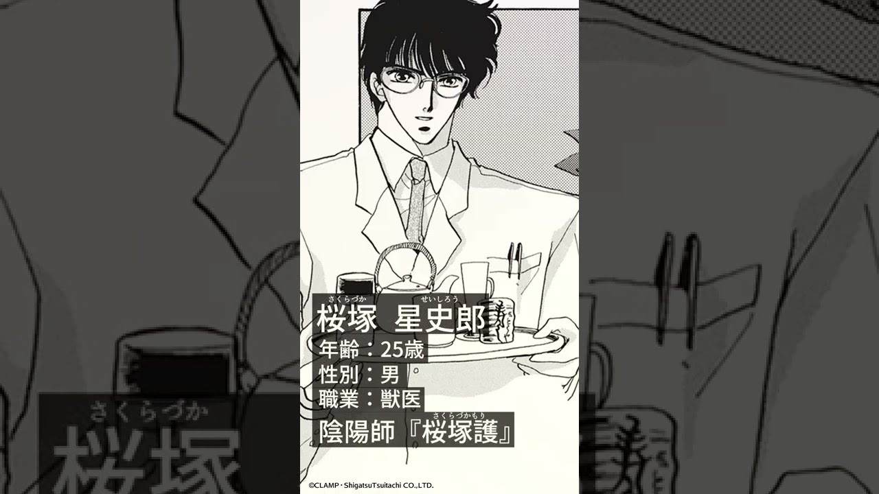 東京BABYLON 下敷き 皇昴流 桜塚星史郎 CLAMP - メルカリ 東京BABYLON