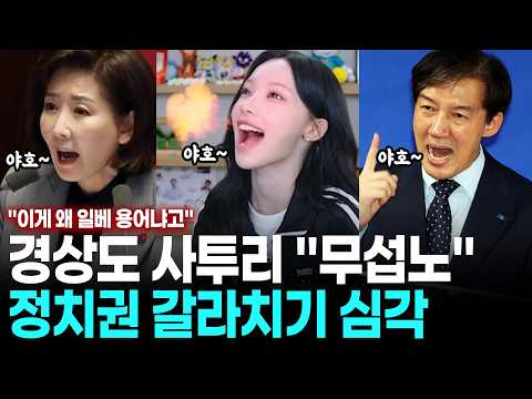 리센느 원이는 어이없고 조국, 나경원까지 나선 이유 "무섭노"가 일베라고? 사투리 정치권 갈라치기 심각