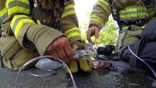 GoPro  Fireman Saves Kitten
