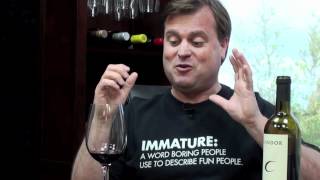 Thumbs Up Wine Review Candor Merlot, Two Thumbs Up