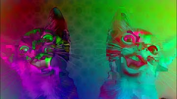 Preview 2 Numa Cat Effects Effects Effects