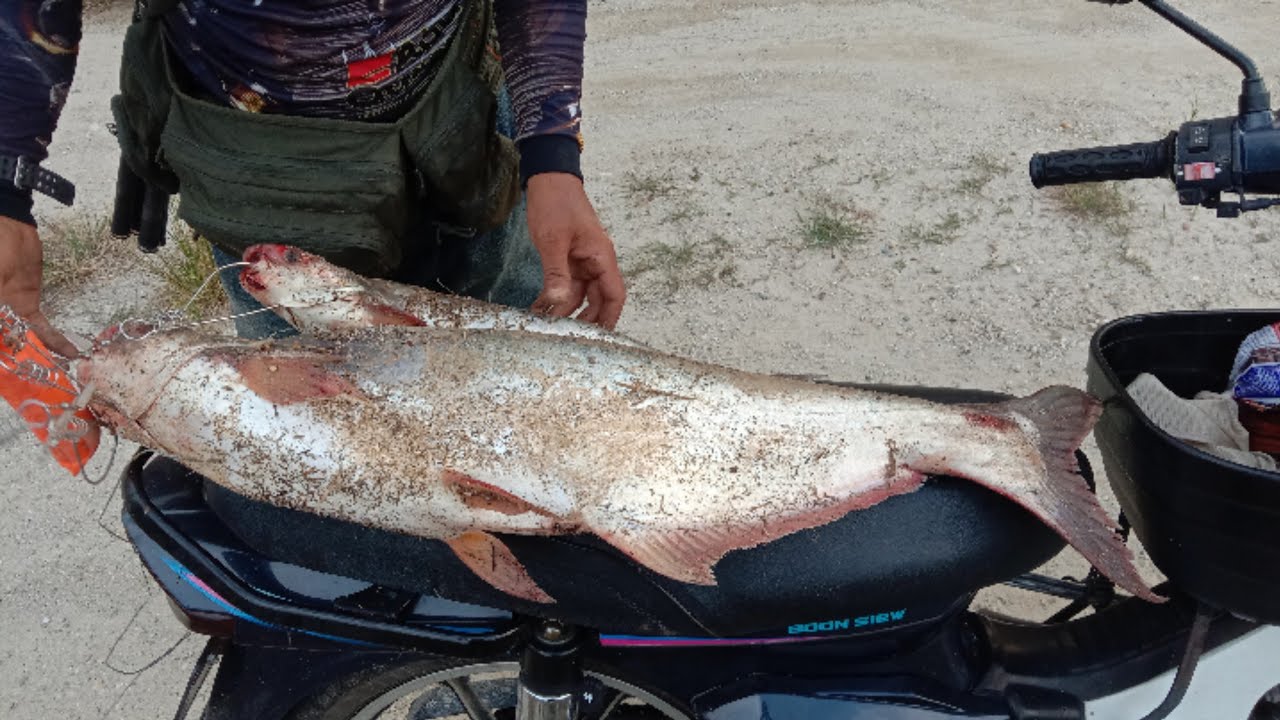 AIR KERUH KAW | JOMBELAJAR TEKNIK PATIN 