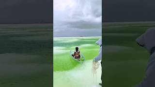 Salt Island Infrastructure#shorts #dailylearningfacts