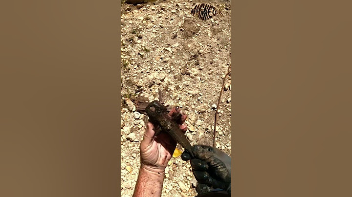 WOW What on earth did I just find Magnet Fishing 🤯🤯🤯. #magnetfishing #magnetfishingfinds