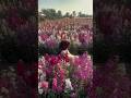 🌸#videoinspo #shorts #flowergarden #aesthetic