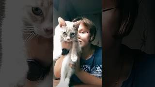 видео с котиком  #тикток2023 #котики #котиктикток #котики2023 # #видео2023 #хештег