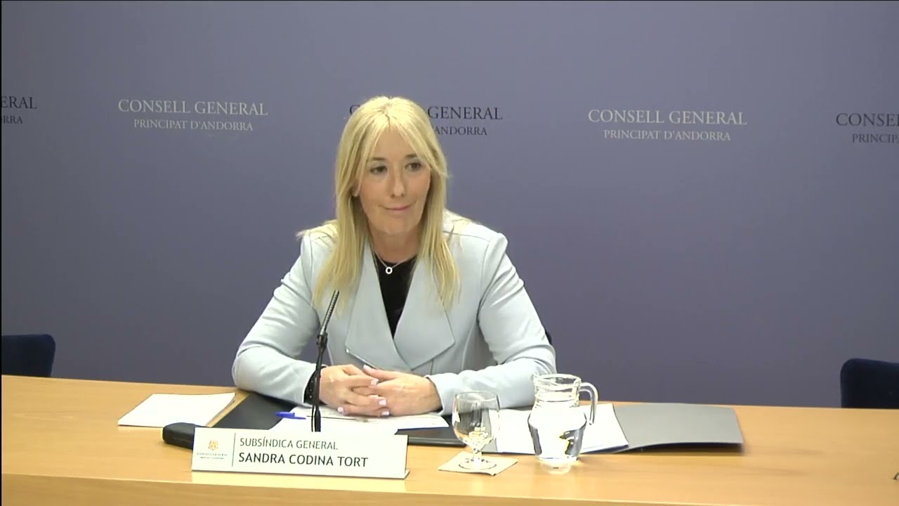 Cas APDA - 10 de gener 2024 - Subsíndica general Sandra Codina