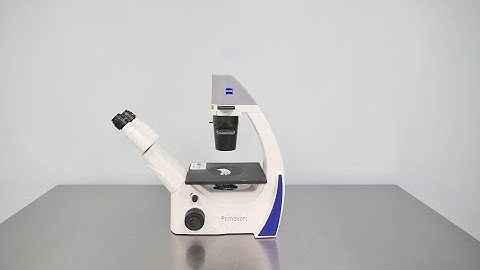 Zeiss Primovert Microscope ID 18763