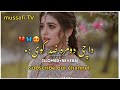 Da Che Dmra Zid Kawe  Master Ali Haider &amp; Adil Ali Haider  Pashto New Song 2023 #mussafi tv #viral
