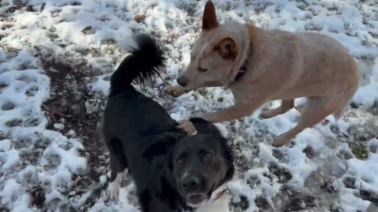 Let’s play Thursday 1/22/26