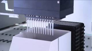 MCA96 Nested DiTi passive stack offset pipetting columns
