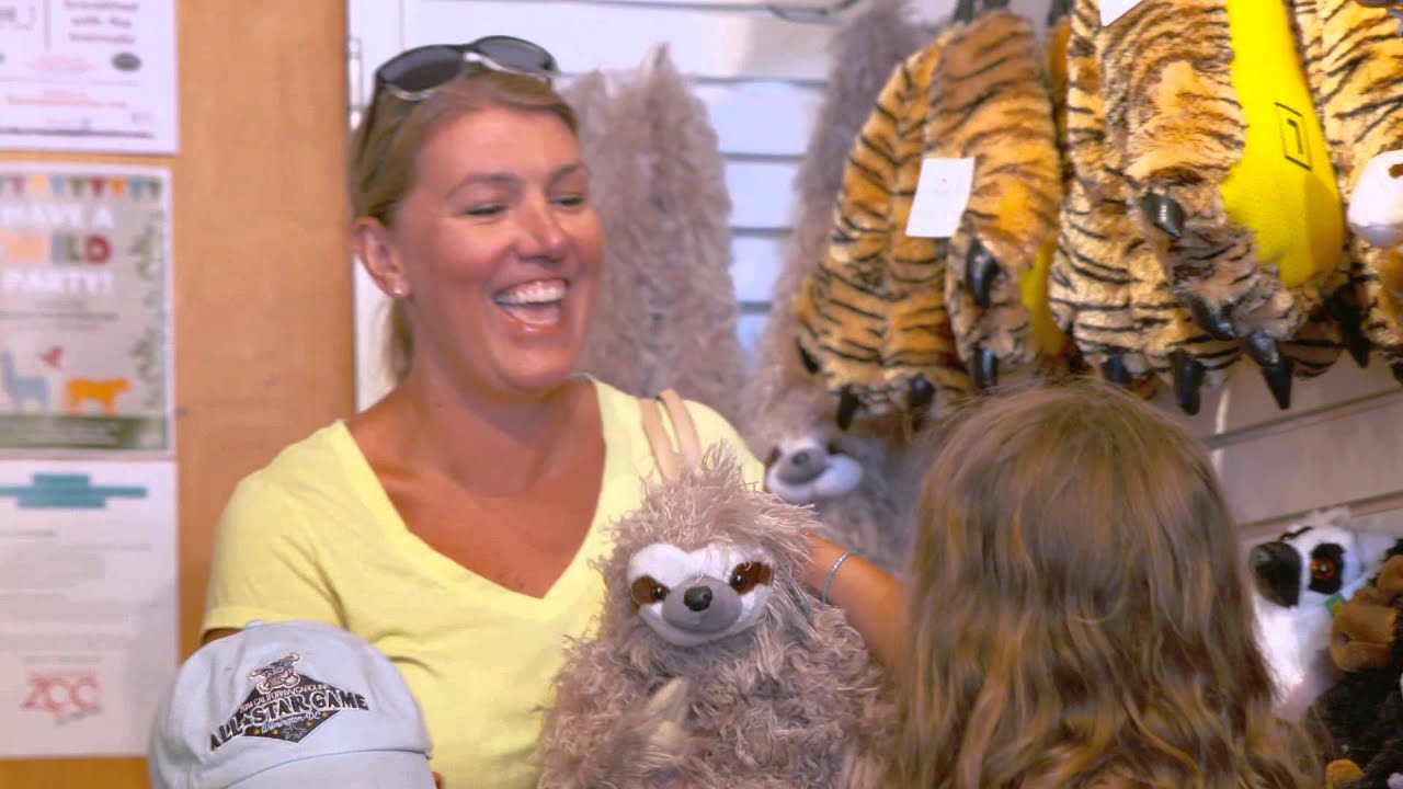 Brandywine Zoo Brand Video // Production By Lemonlight Media YouTube