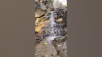 تلاوه (الم نشرح لك  صدرك )  مع جمال المنظر  الطبيعي