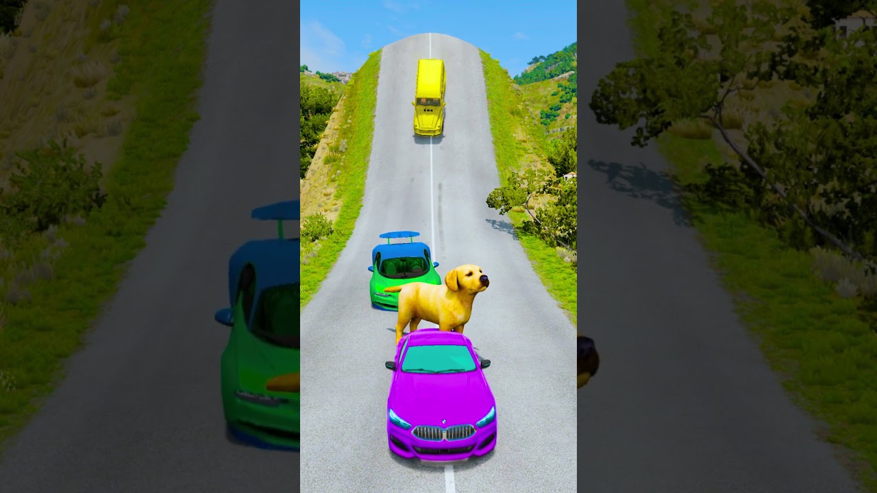 Big & Small Cars VS Dog - BeamNG.Drive