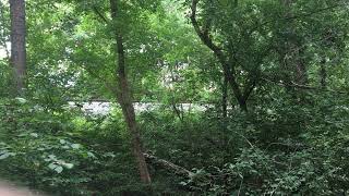 IMG 6454