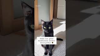 Huzursuzum Evet🥴 Şfet