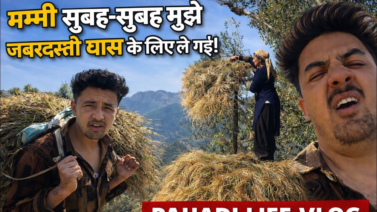 सुबह सुबह निकल पडे मम्मी के साथ घास के लिए #villagelife  #himachalpradesh  2026 vlog 