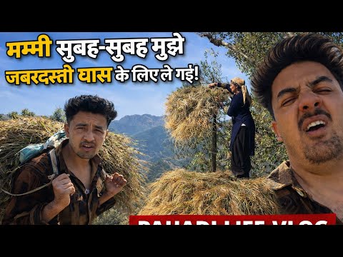 सुबह सुबह निकल पडे मम्मी के साथ घास के लिए #villagelife  #himachalpradesh  2026 vlog 
