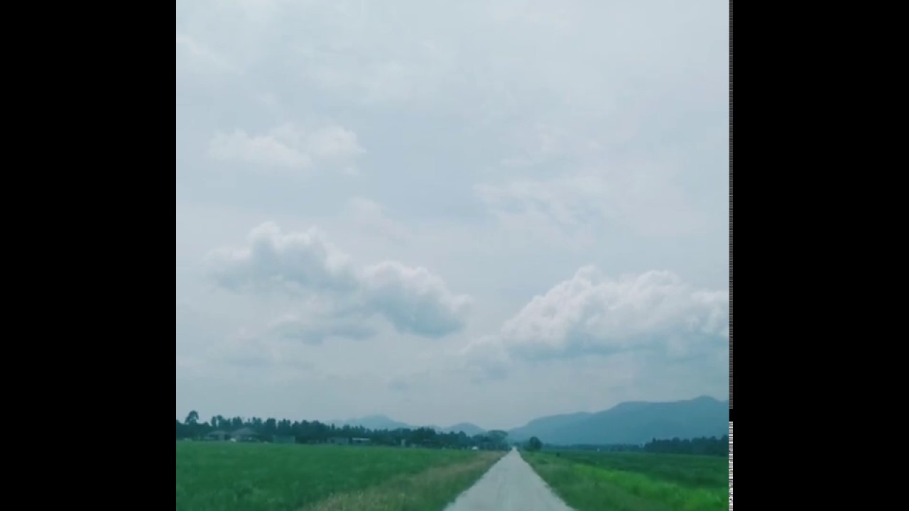 Menyusuri bendang di Kampung Terang, Balik Pulau.