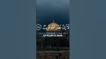ألا إن نصر الله قريب - فلسطين - القدس - القارئ ناصر قطامي مؤثر