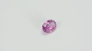 DSC 5082