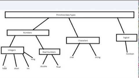 Visual Basic - 5 - Primitive Data Types