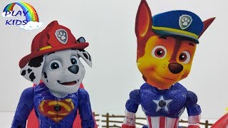 Wrong Head Paw Patrol Hulk Ironman Shark Song Finger Family Song Remix Nursery Rhymes