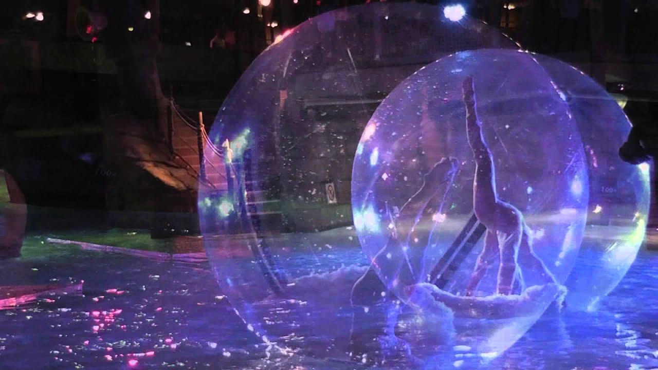 Contortionist | Bubble Sphere | Big Foot Events