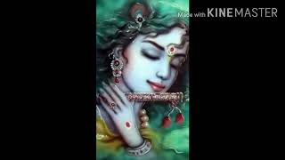 Achyutam Keshavam Krishna Damodaram /mind relaxing song of Krishna ( Sachin Limaye)