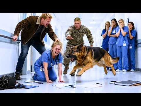 They Humiliated a Nurse in Public — Until Her Navy SEAL & K9 Turned Everything Around