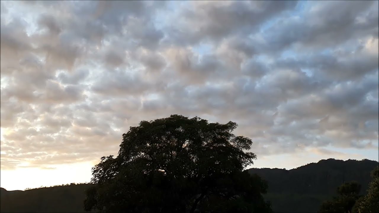 Wayne Shorter Quartet (80th birthday celebration), Marseille (2013)