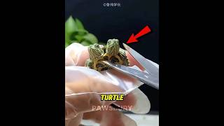 He Was Facing A Death Sentence Until This Happened...