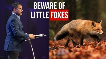 Beware of the Little Foxes 🦊 Lurking in Your Vineyard! 🦊