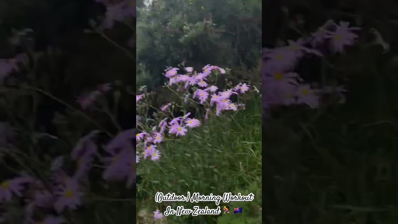 Outdoor Work out 🏃‍♂️in New Zealand 🇳🇿..