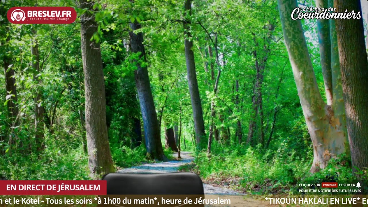 Les Contes de Rabbi Nahman 12 - 10 mars