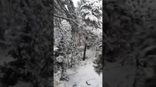 5 Şubat 2017