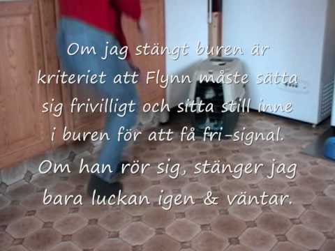 Video: Förstå 